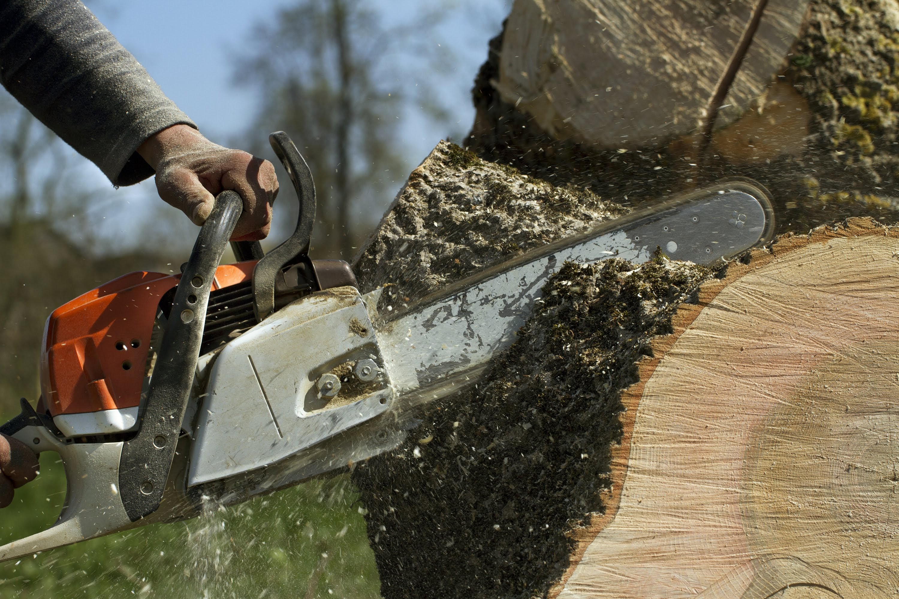 E&J Out on A Limb Tree Services, LLC: Service Image-1 E&J Out on A Limb Tree Services, LLC: Service Image-1